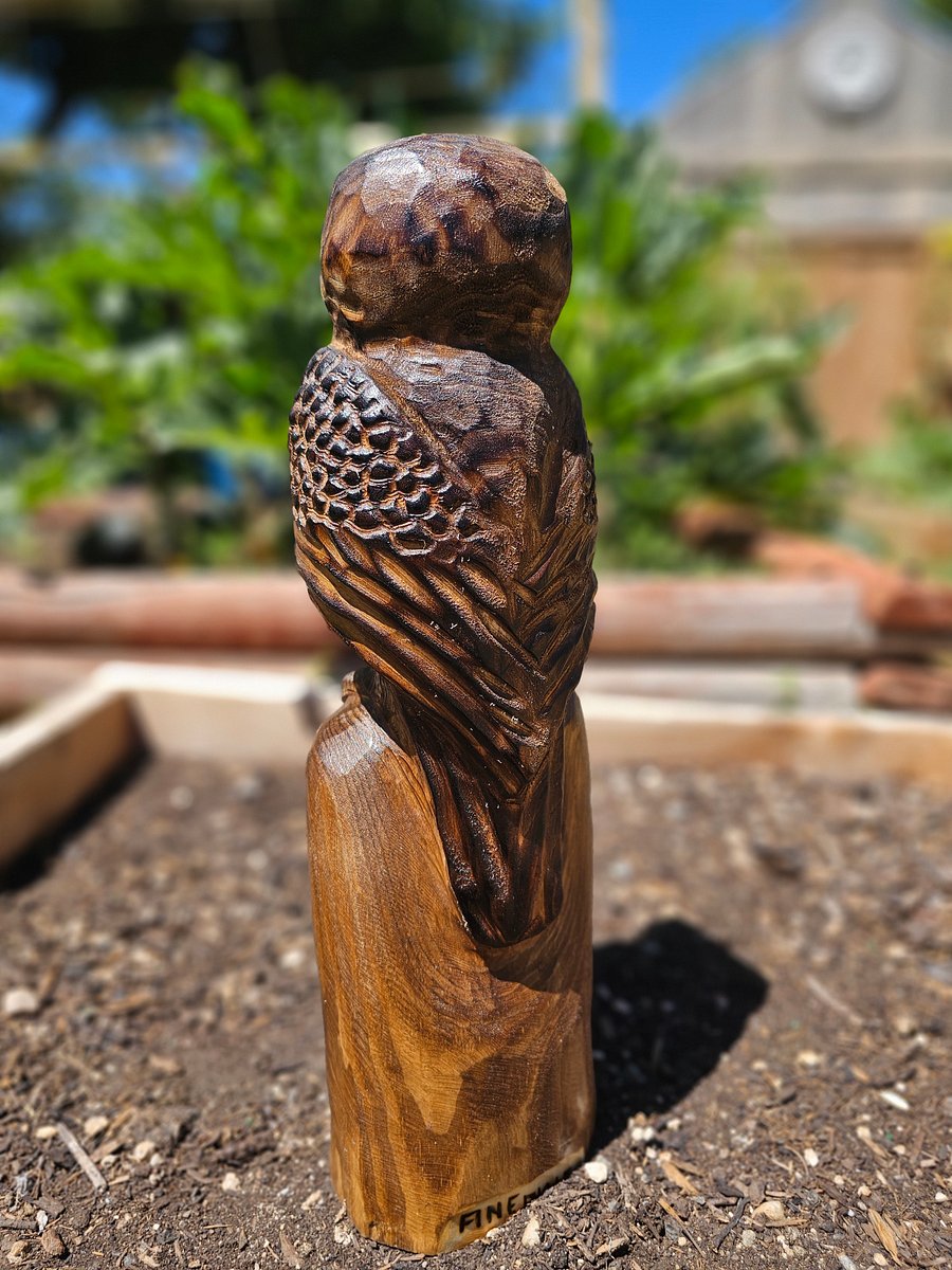 Sleepy Owl Wood Carving product image (3)