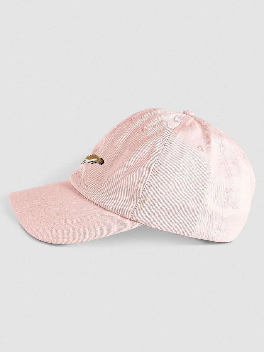 Pastel 'Art Gecko' Stitched Sploot Cap (v1) product image (3)