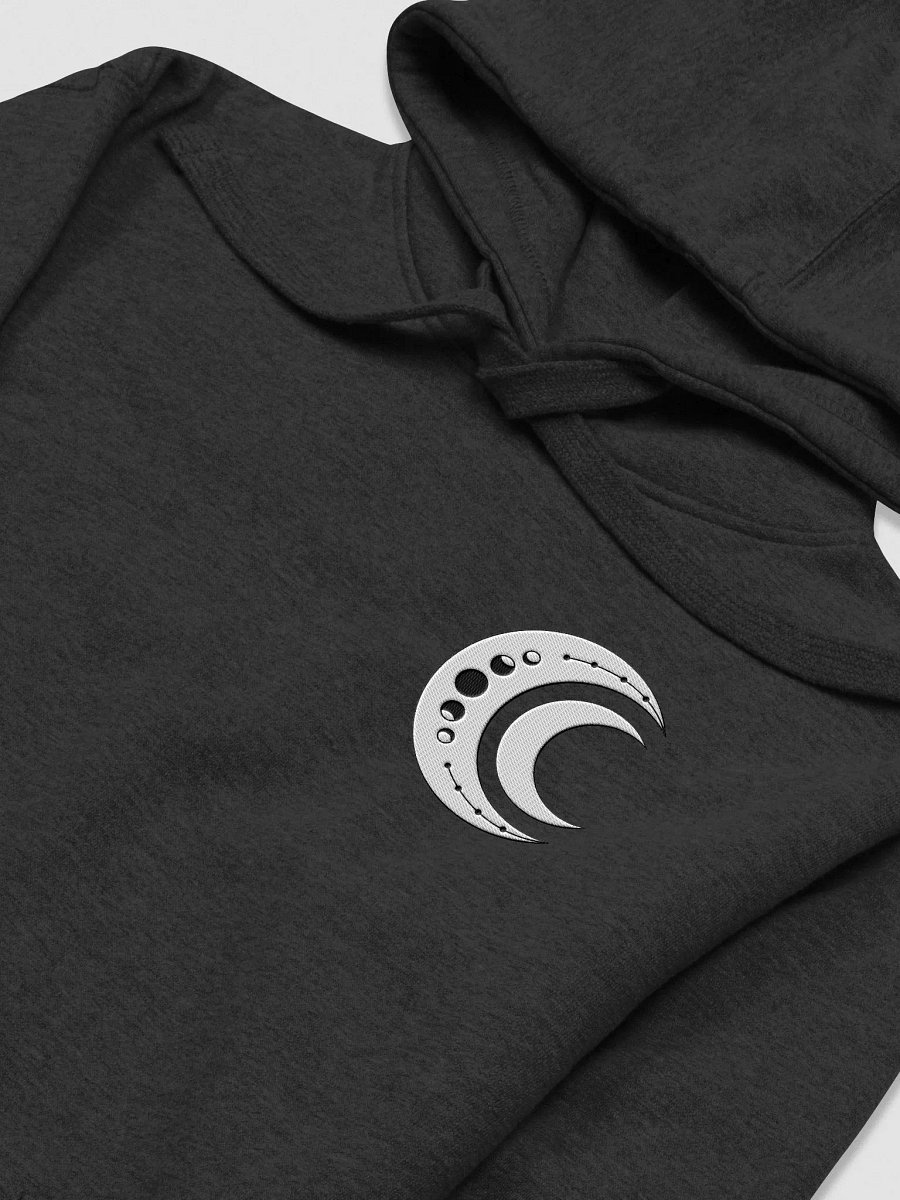 embroidered Pull-over Logo Hoodie product image (3)