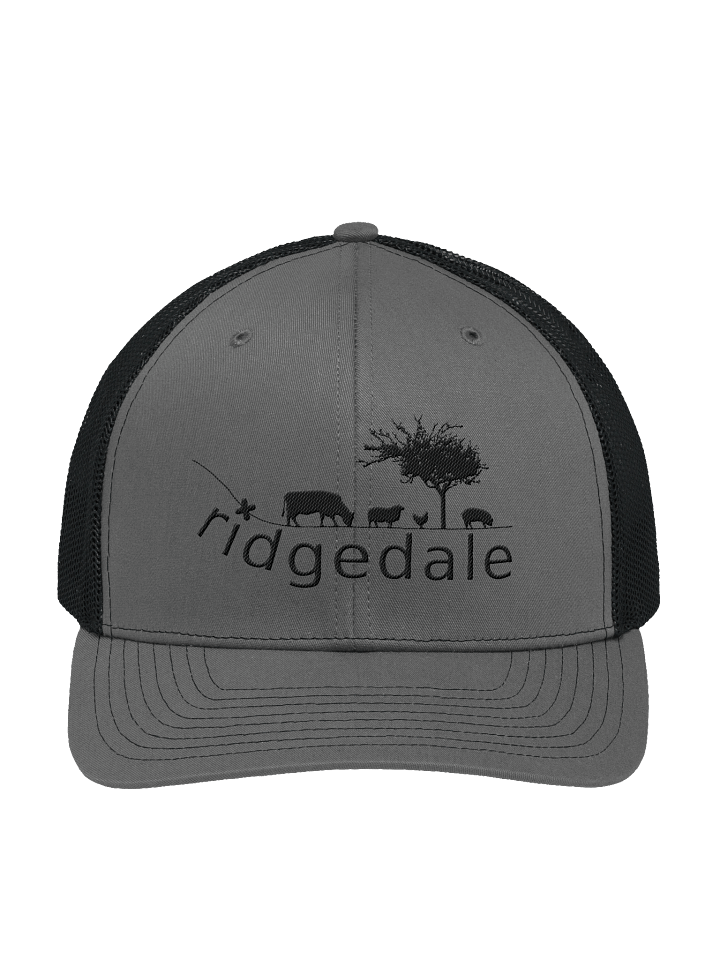 Ridgedale Cap Grey/Black product image (1)