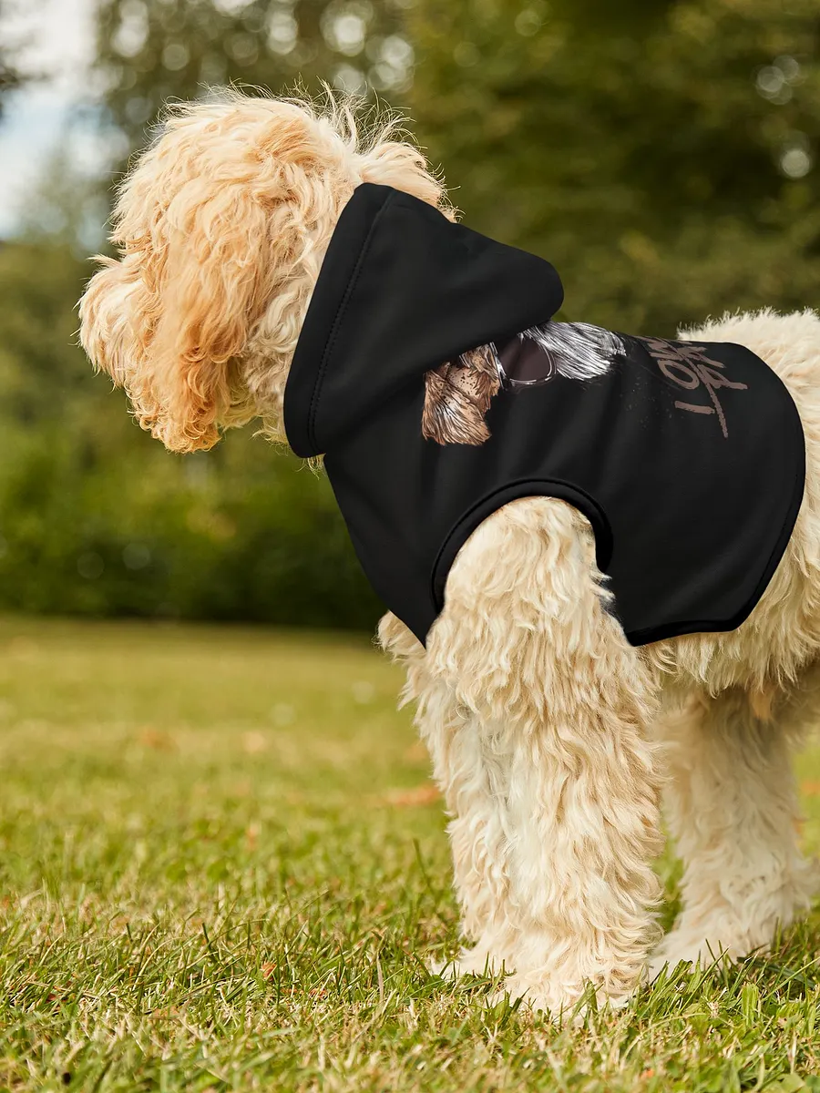 PAPASITOS PAWS OWN PARTY HOODIE product image (3)