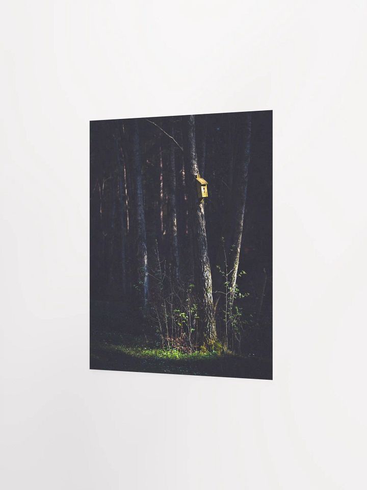 The Bird Box product image (5)