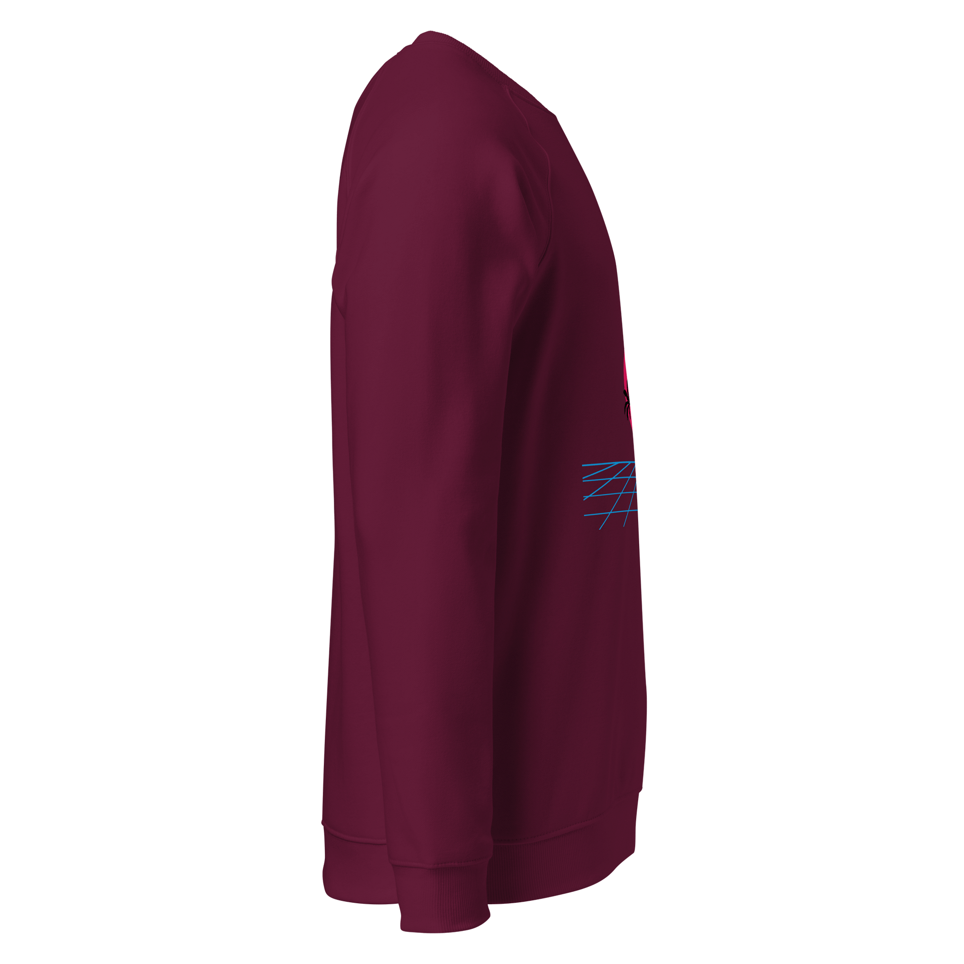 Retro Sunset Organic Raglan Sweatshirt product image (4)