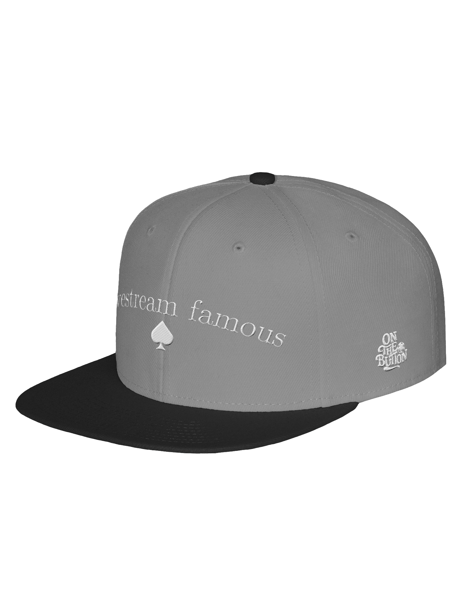 Livestream Famous Flatbill Hat product image (19)