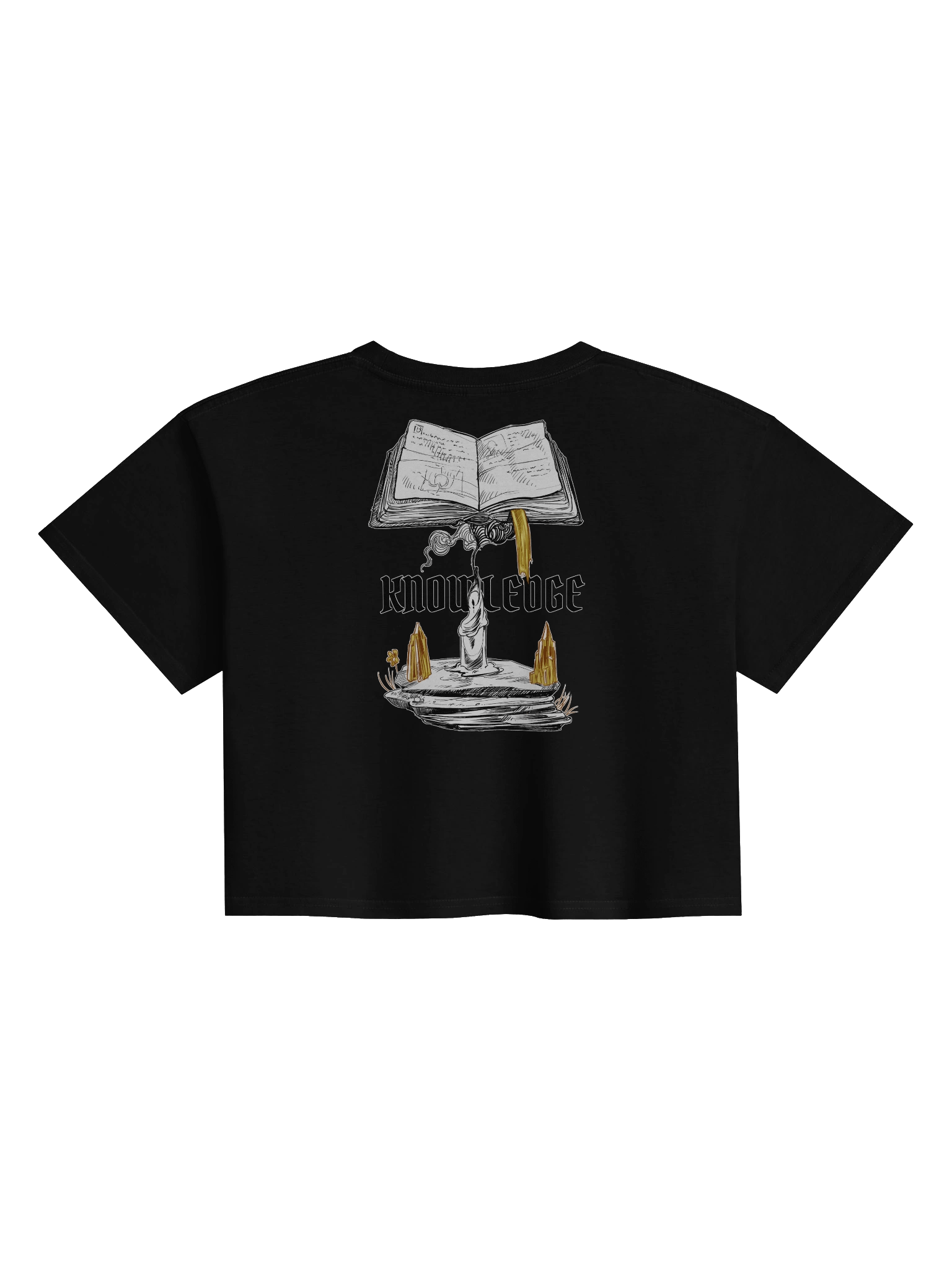 809 Rise of the Courts - Knowledge Crop-T product image (2)