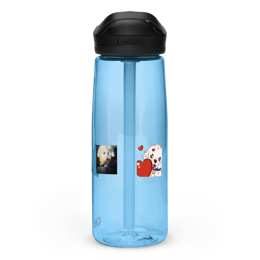 sports water bottle product image (3)