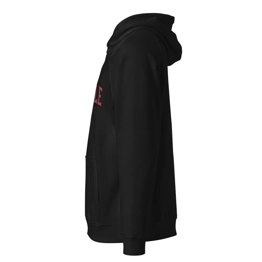 Man Washington Seattle SOL'S Unisex Eco Raglan Hoodie product image (2)
