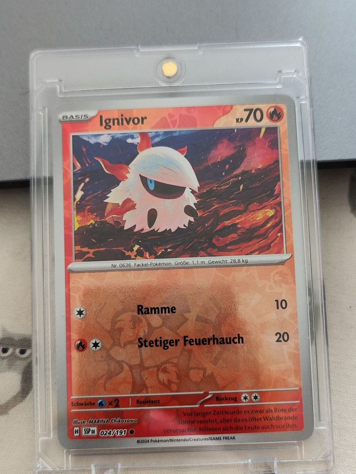 Kartenrahmen & Hüllen product image (2)