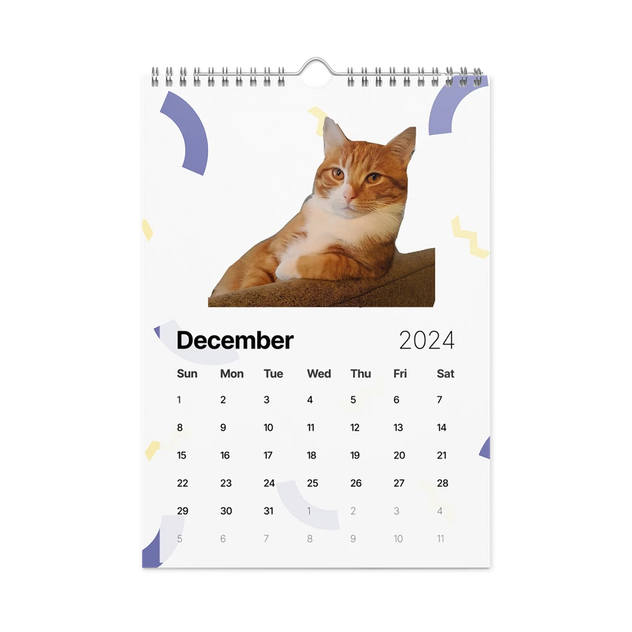 Wall Calendar (2024): Meme Cats product image (6)