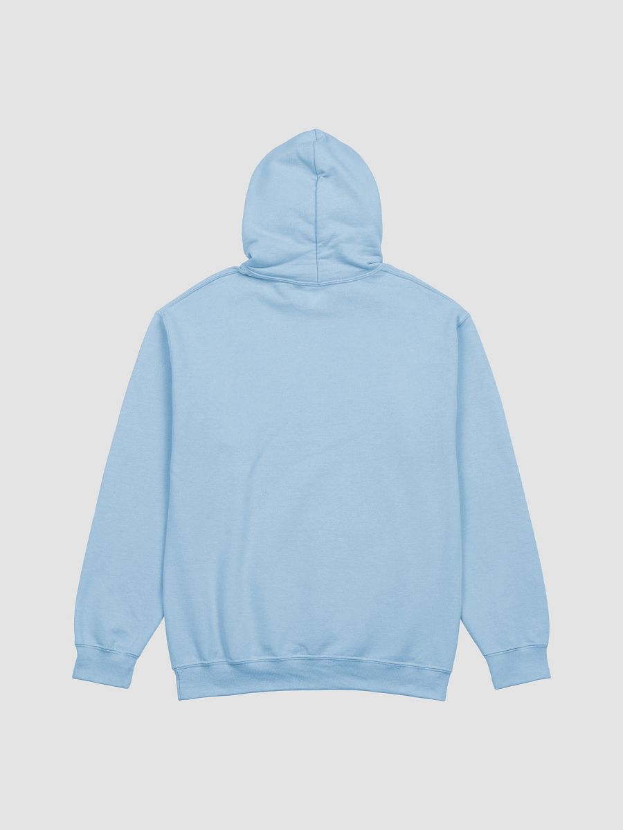 "YOU MUST SURVIVE" STAINED GLASS Hoodie w/ Prism product image (6)