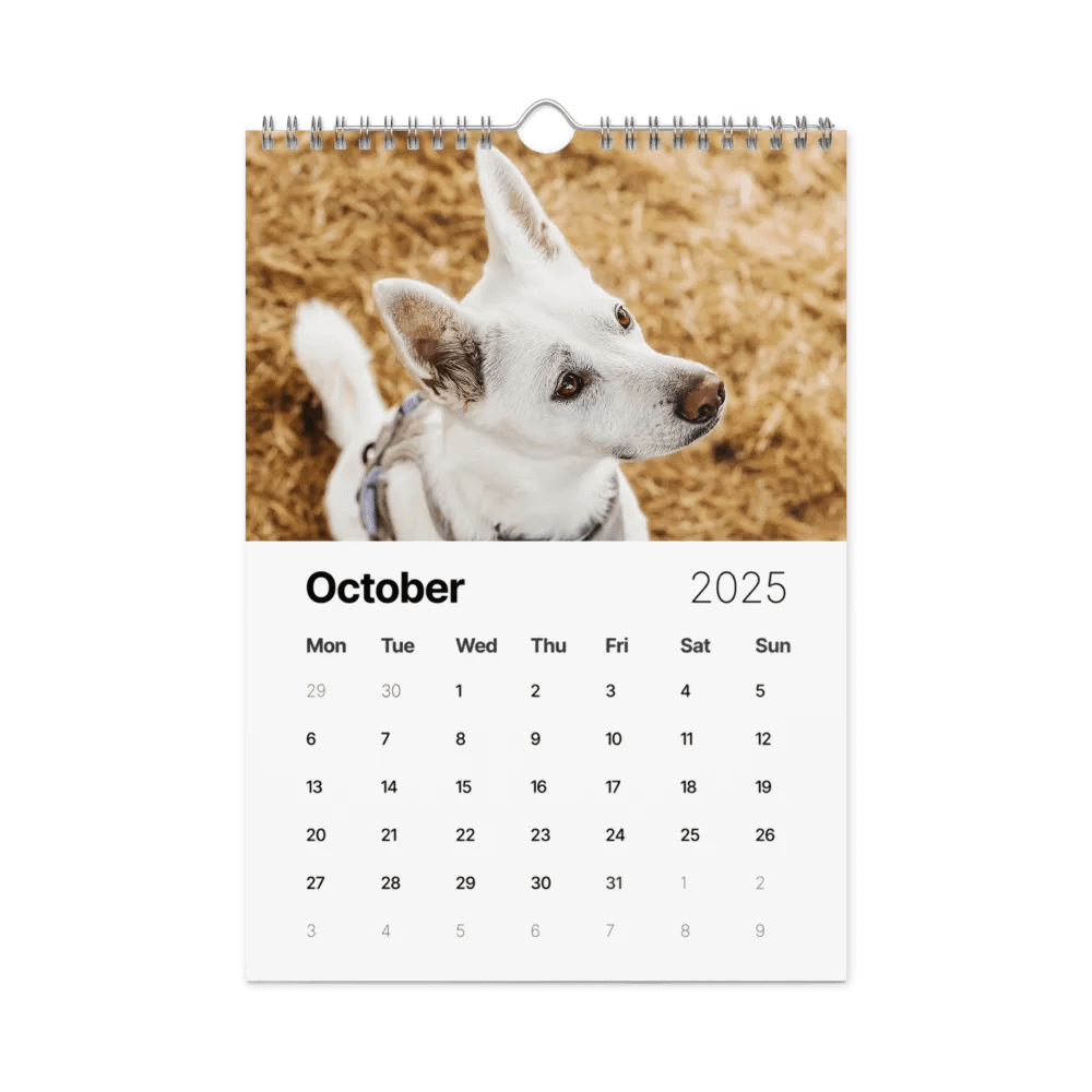 Eli's Favorite 2025 Calendar product image (12)