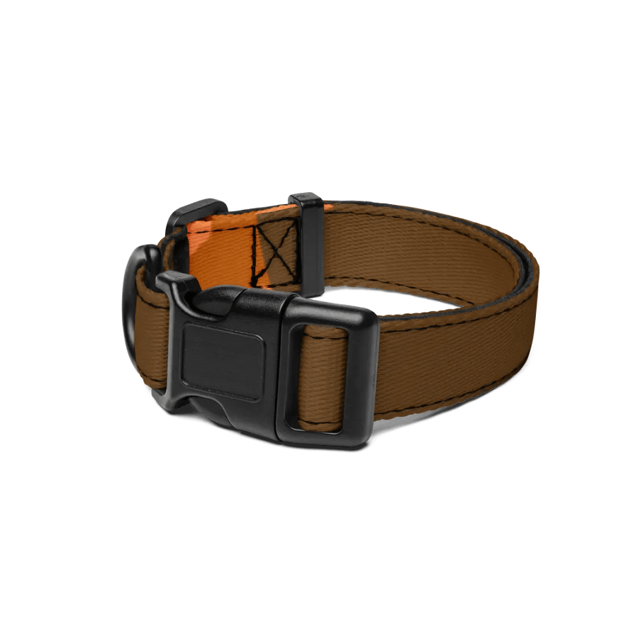Orange Glow Pet Collar product image (1)