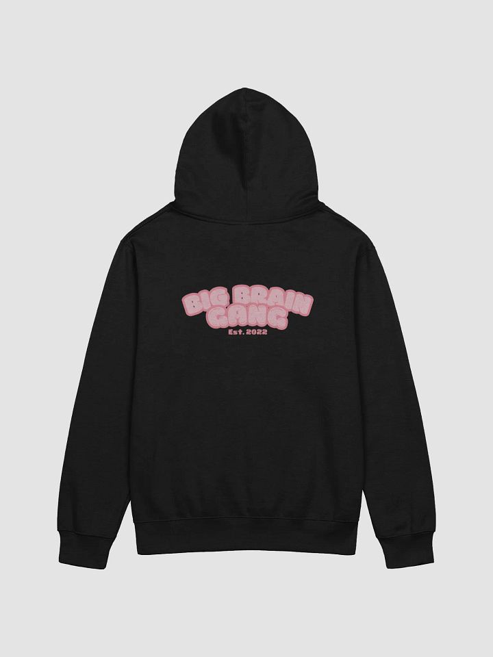 Brian Heart / Big Brain Gang Hoodie product image (15)