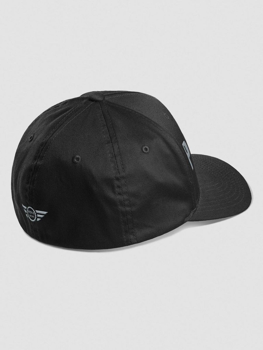 FlexFit PA-TING!! Logo Hat product image (4)