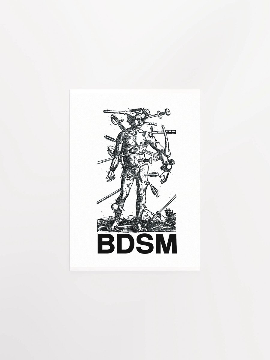 BDSM - Poster product image (2)