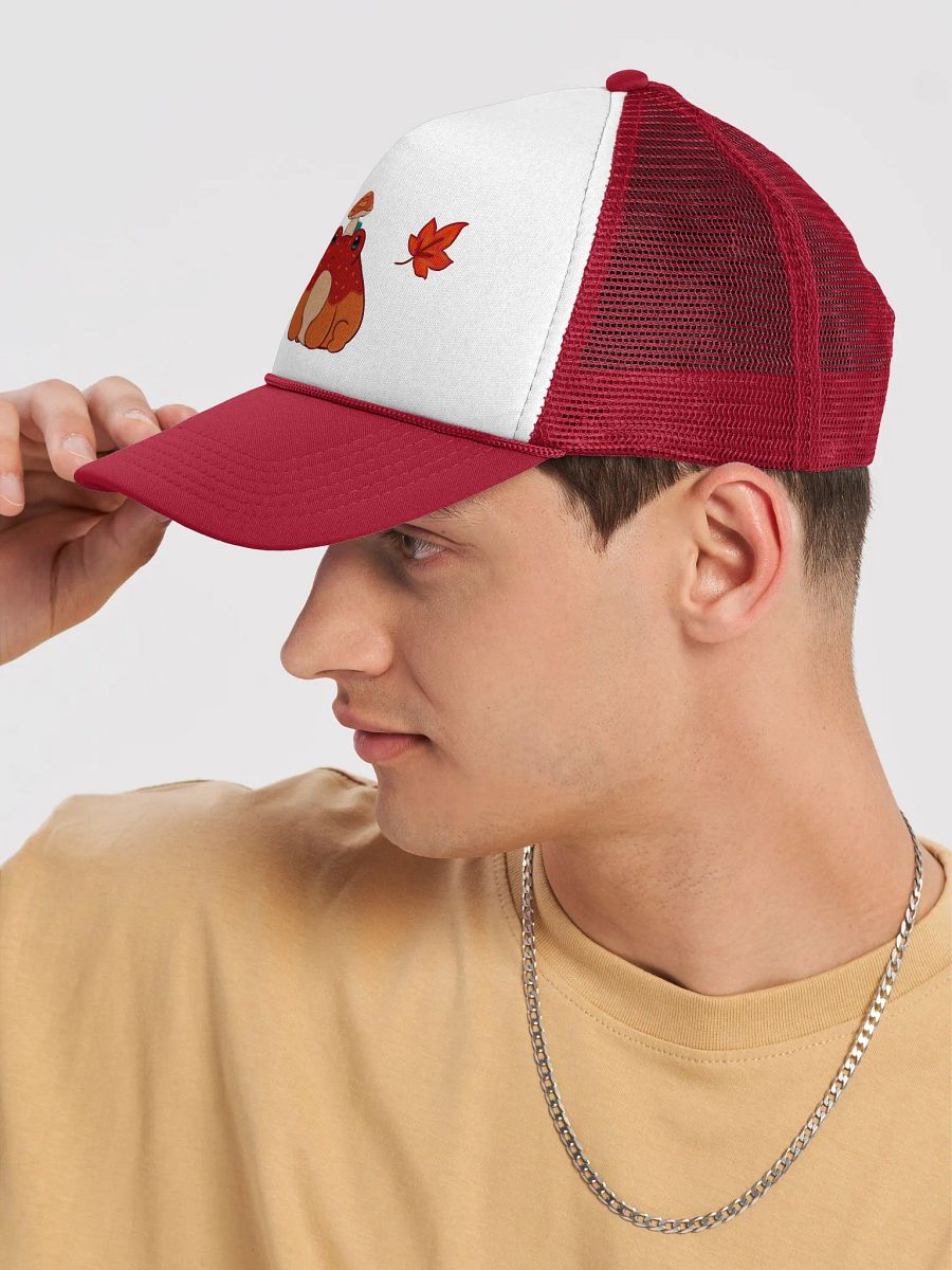 Autumn Frog Hat product image (7)