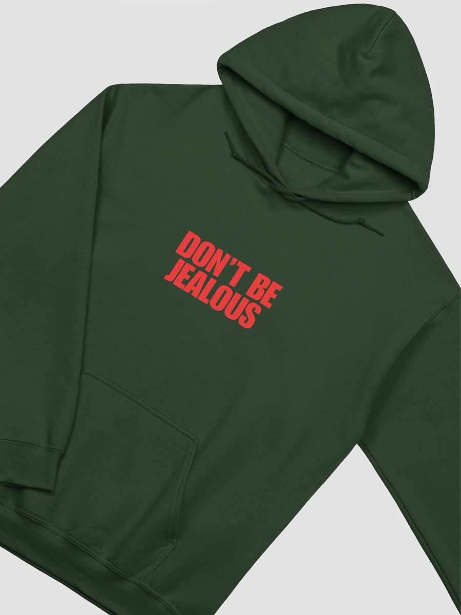 Don't be Jealous Statement Hoodie product image (16)