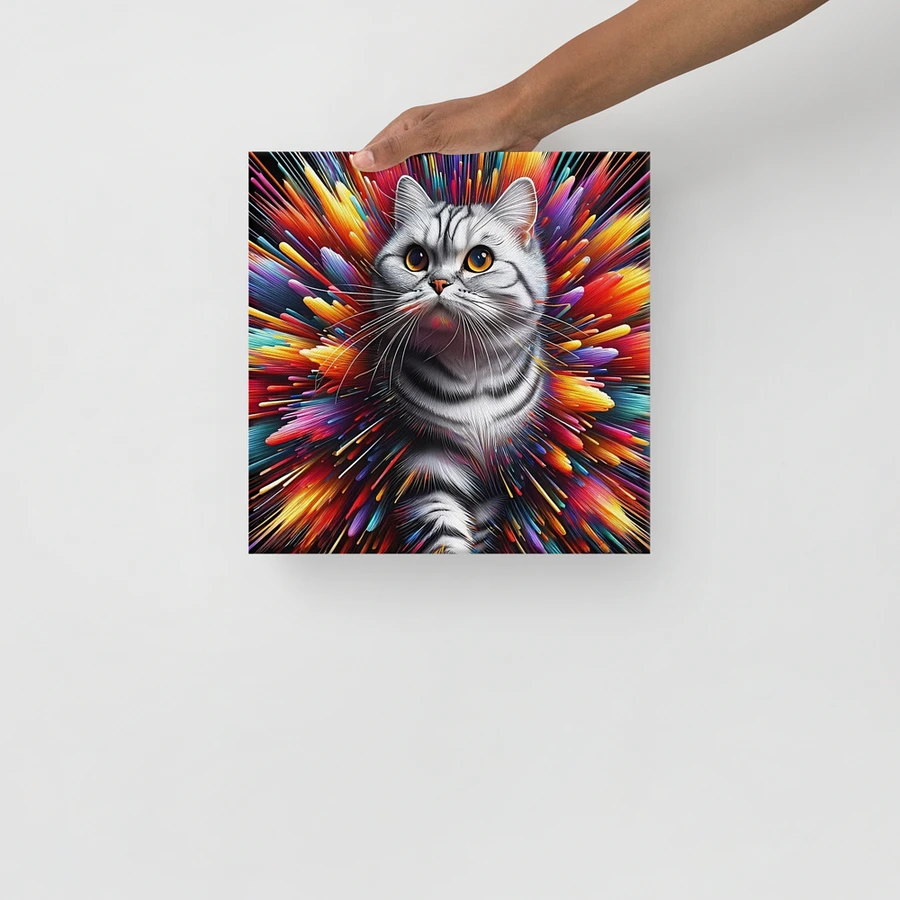 Canvas (in): American Shorthair product image (13)