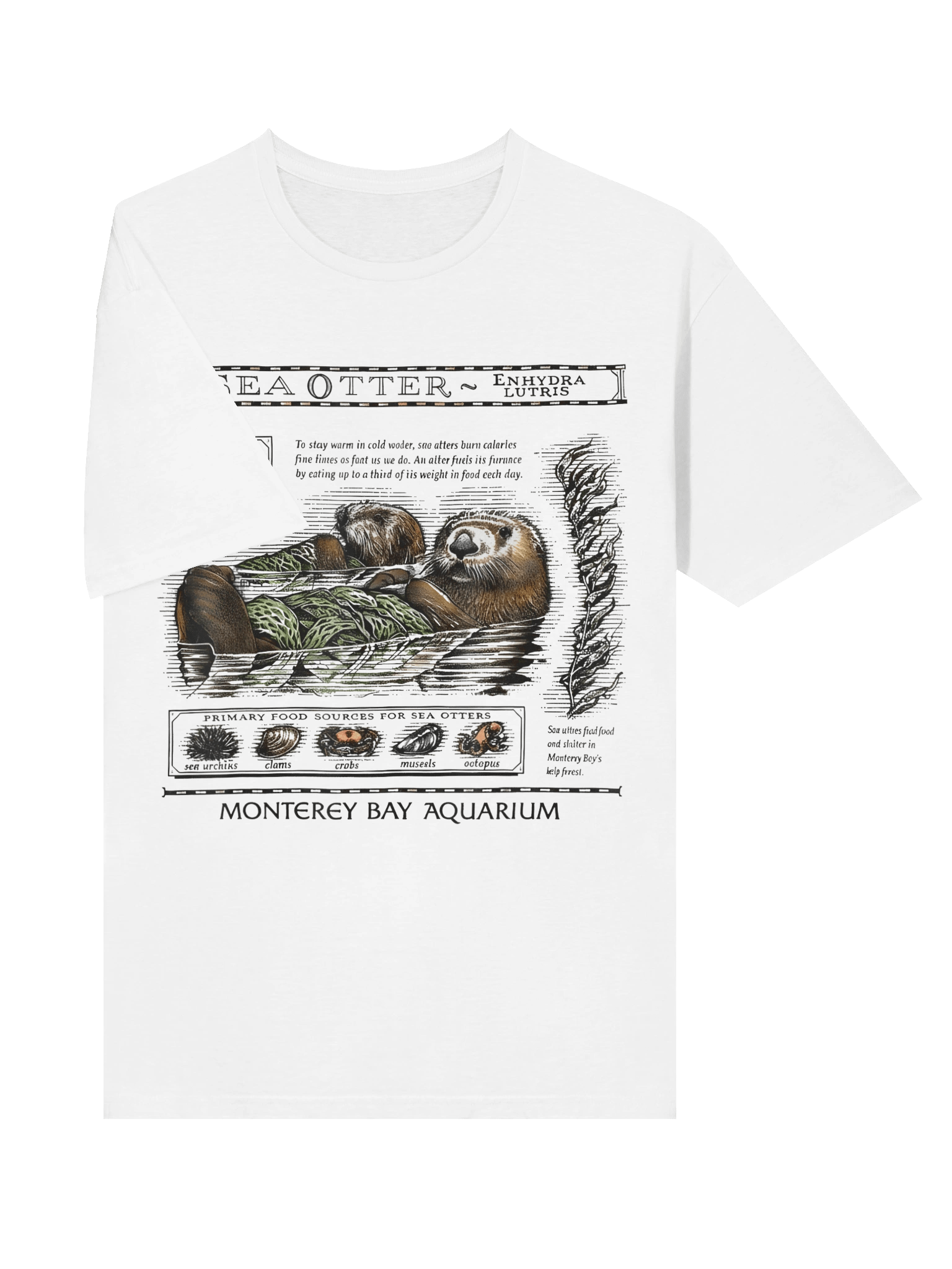 Enhydra Lutris Unisex Tee product image (26)