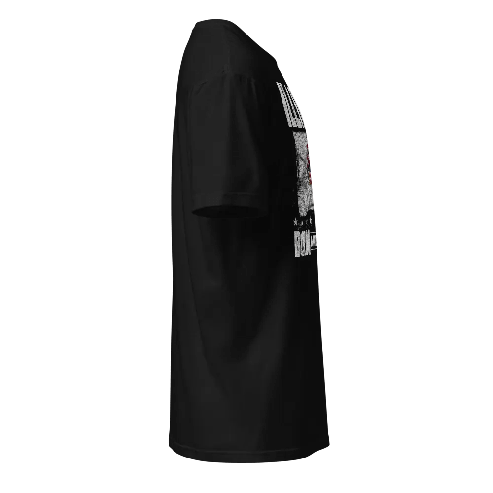 Illinois: Born and Raised product image (5)