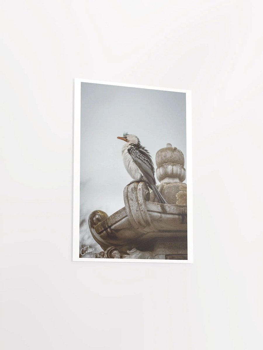 Patience - Print product image (3)