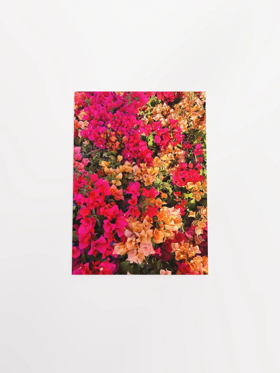 Blossom Burst Poster product image (21)