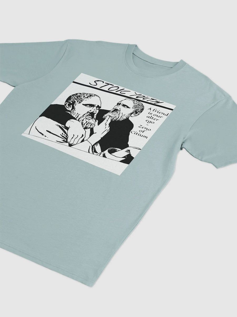 Stoic Youth Zeno of Citium quote Cotton Heritage Men's Premium Heavyweight Tee product image (3)