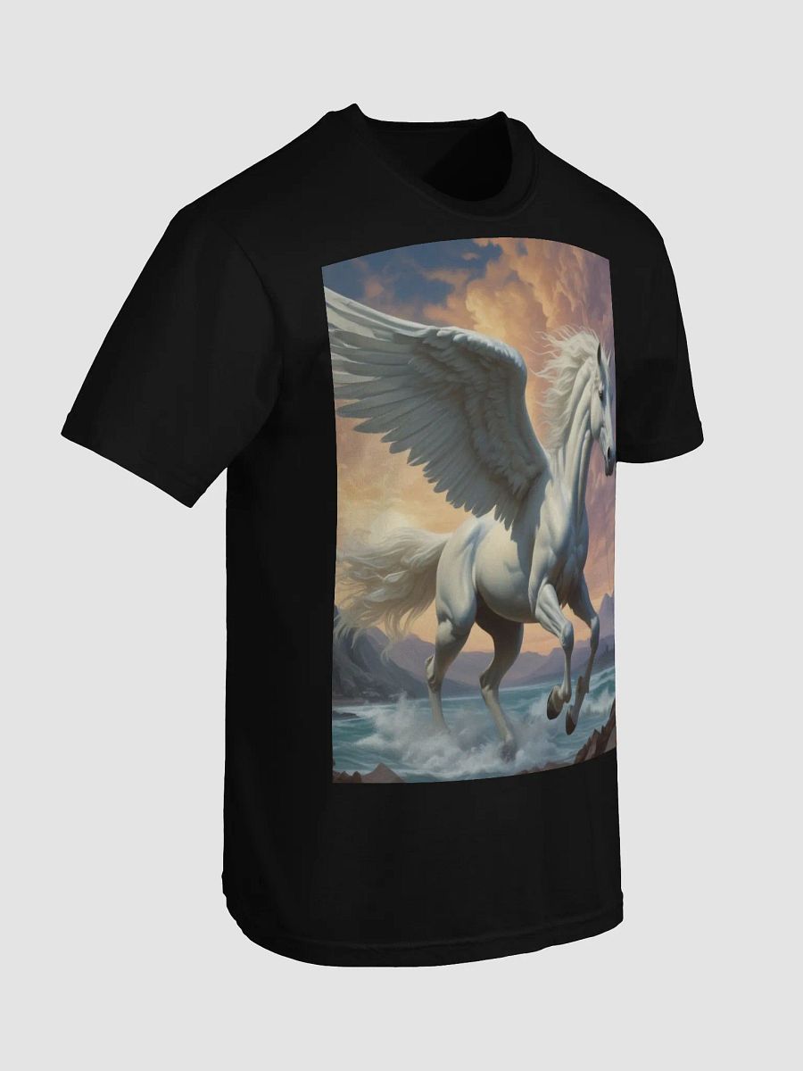 Pegasus product image (45)