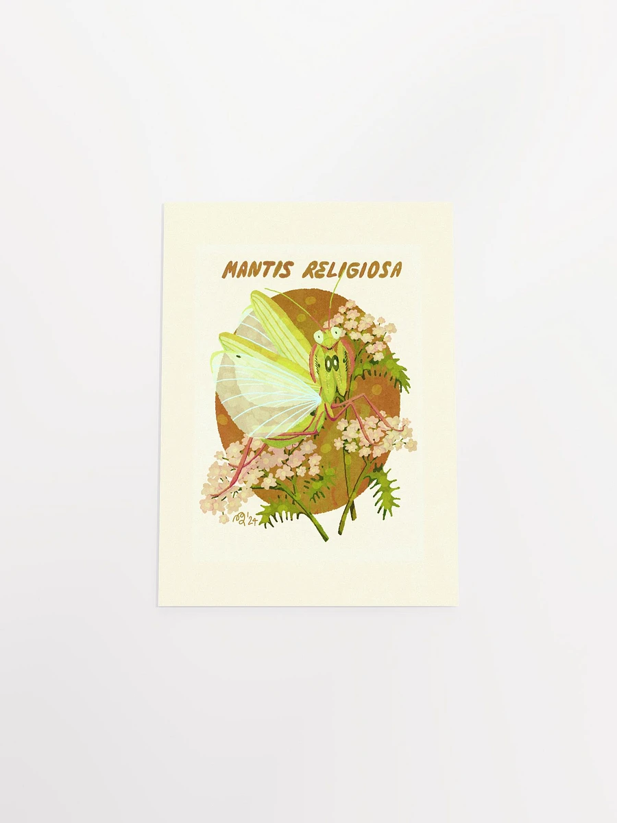 Praying Mantis Print product image (7)