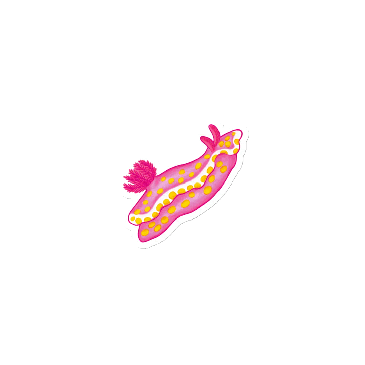 Sea Slugs: Set 1, Ceratosoma Amoenum - Magnet product image (1)