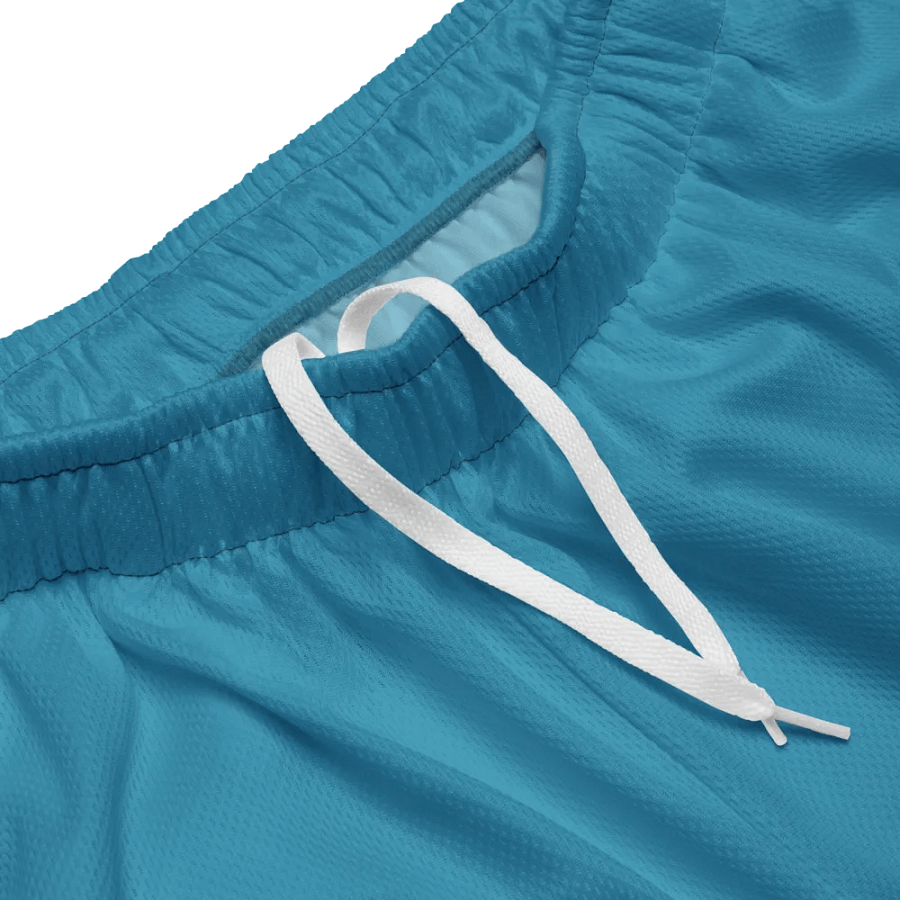 Eco-Friendly Aquarius Mesh Shorts product image (3)