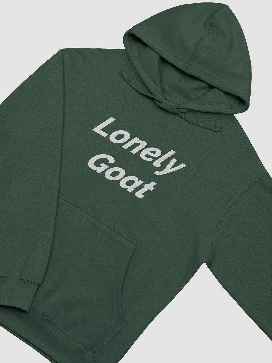 LONELY GOAT + FRIENDSHIP Midweight Hoodie product image (20)