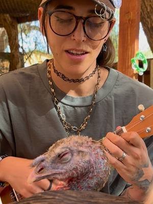 this is Serena and she loves @chloe moriondo  thx @Farm Sanctuary for being awesome #uke #soft #vegan 