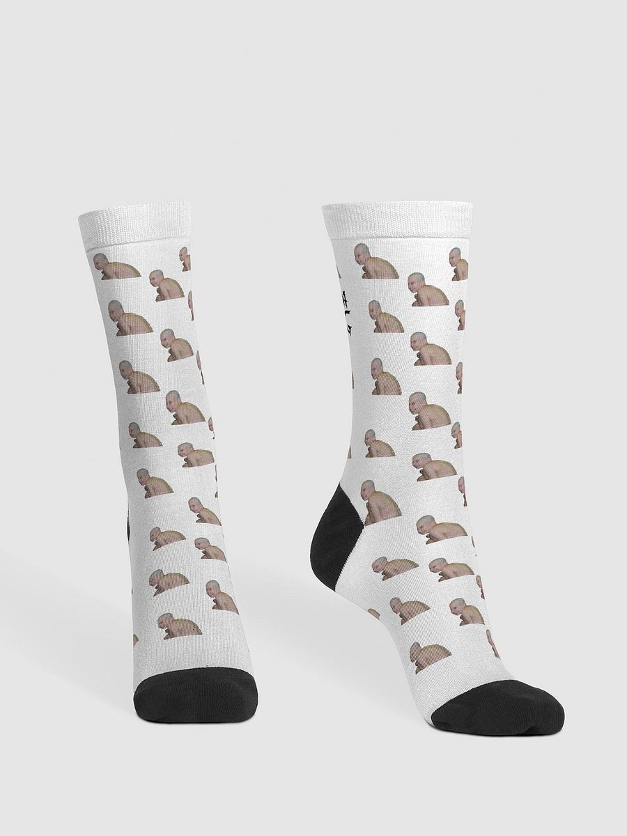 GypSink Rose Socks product image (2)