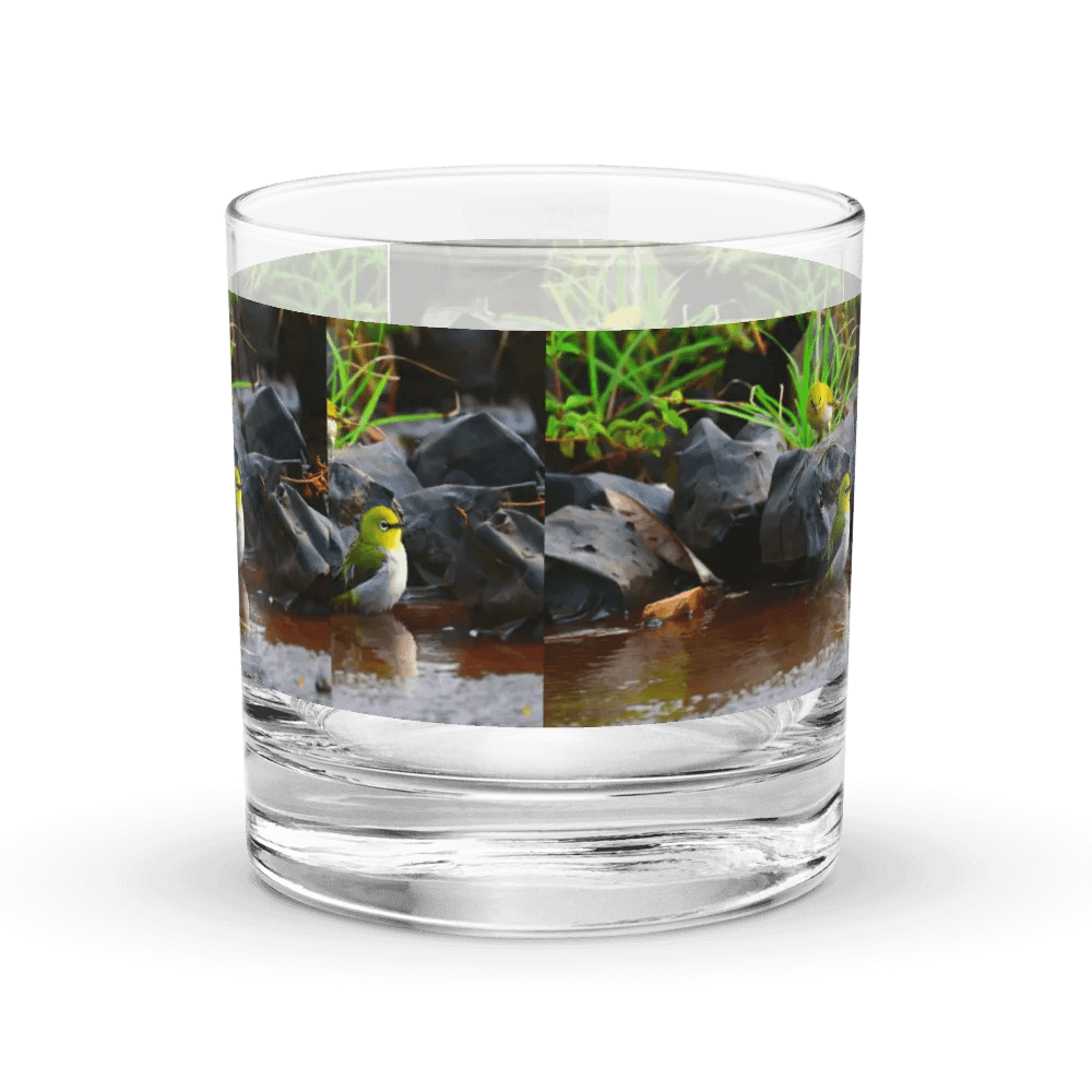 IUCAA Birds GLASS product image (4)