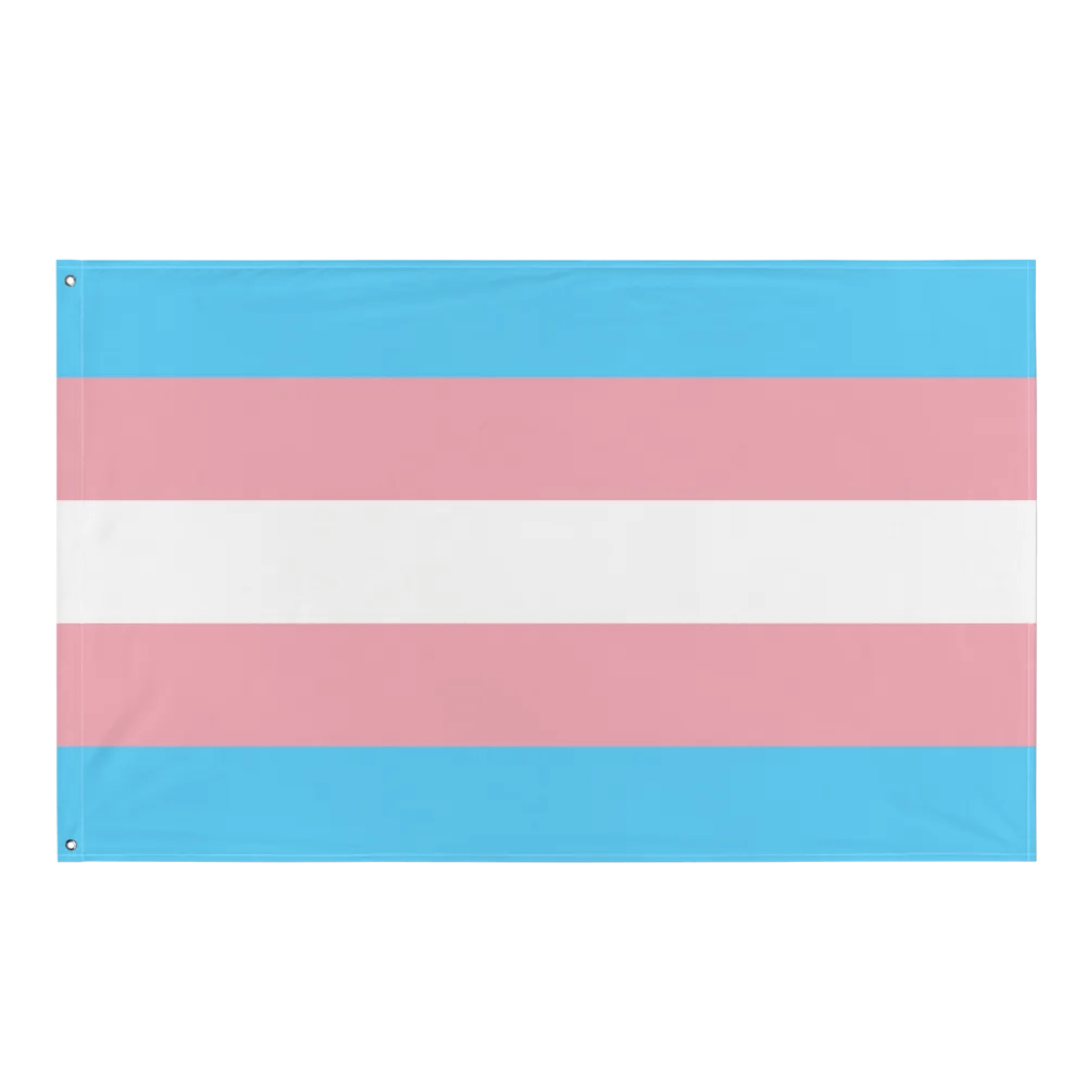 Trans Pride Flag product image (1)