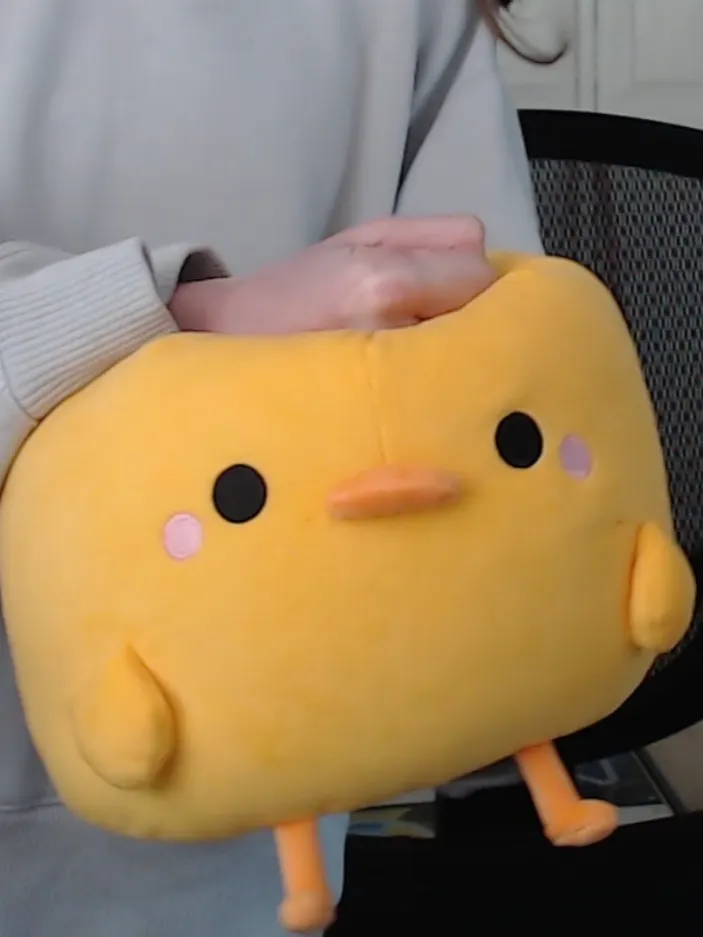 Laurdiy duck plush 2025