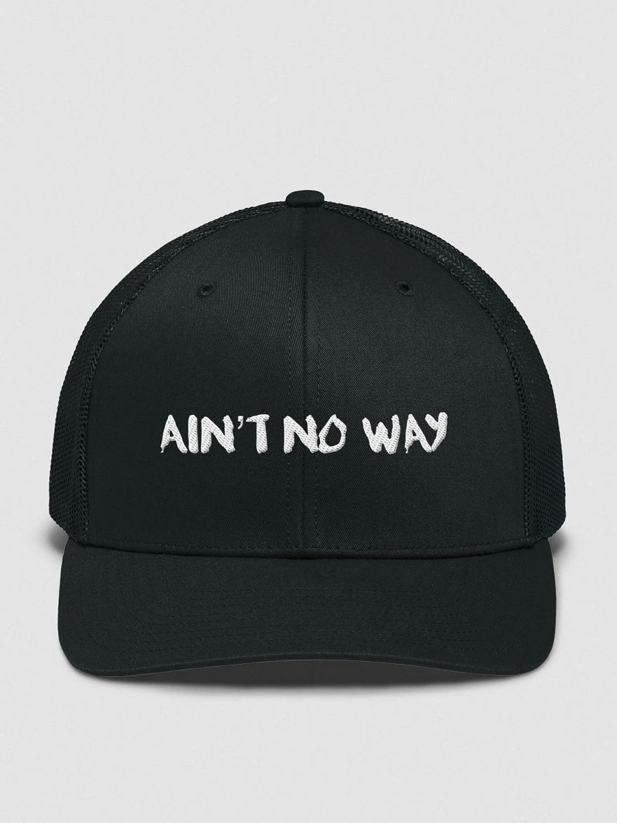 Ain't No Way product image (1)