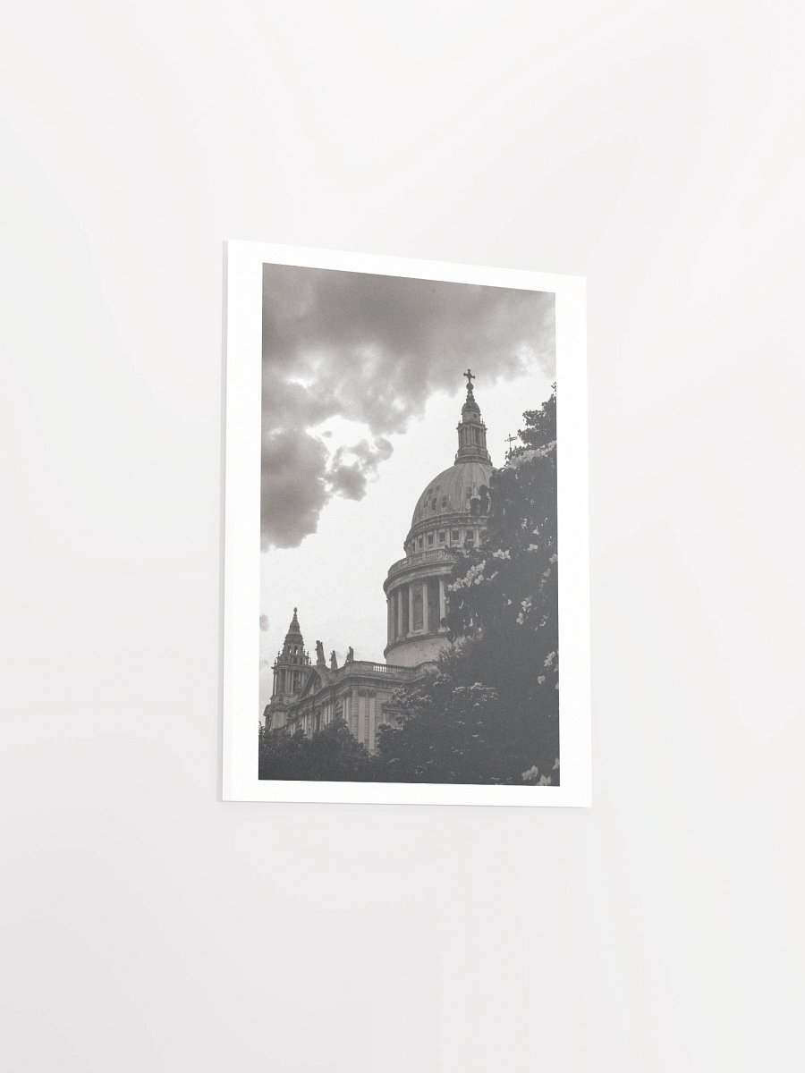 Flowers of St. Paul - Black & White / Print product image (21)