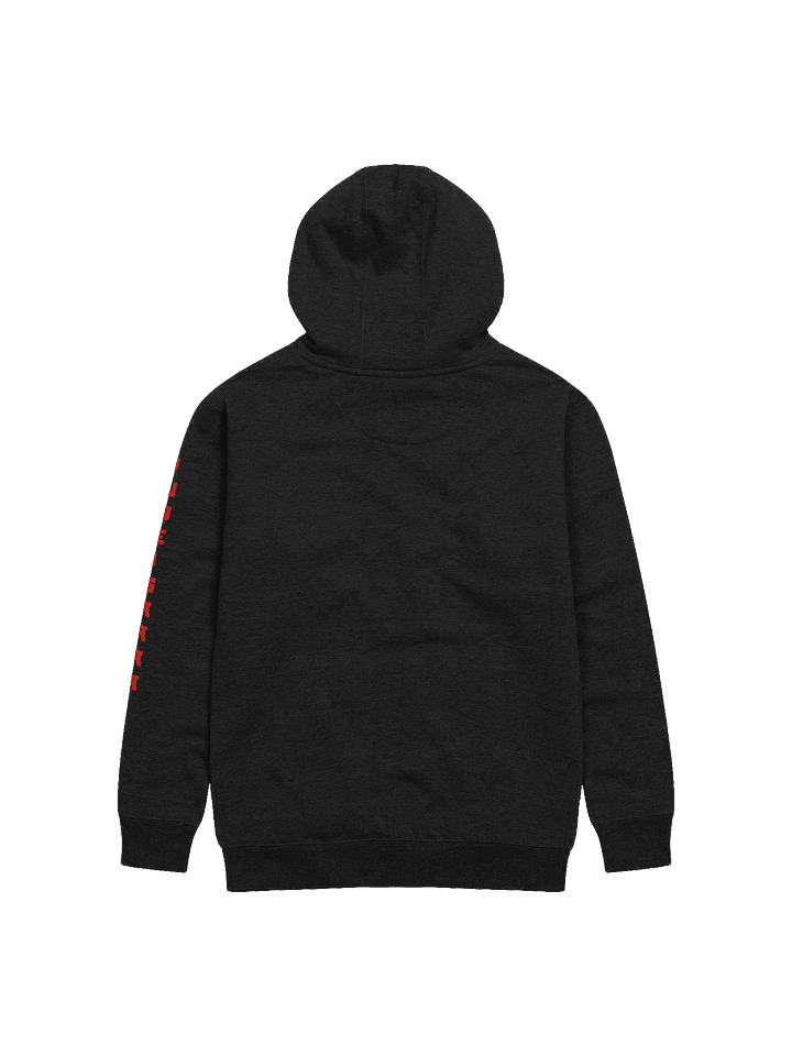 WCYD Hoodie product image (2)