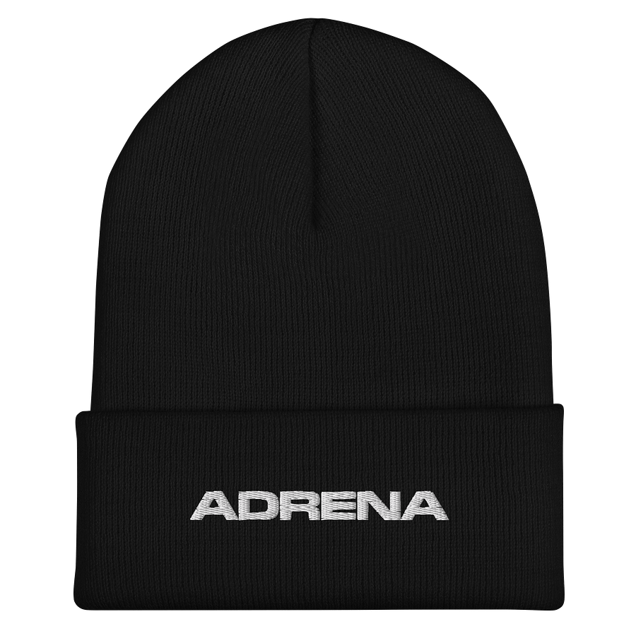 Cuffed Beanie product image (1)