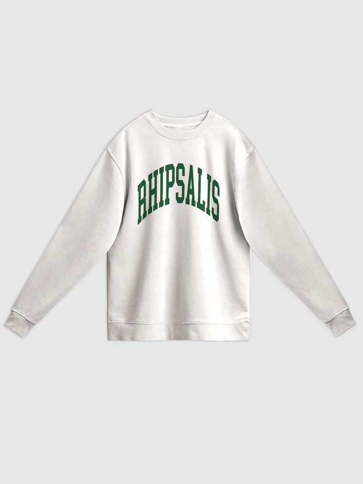 RHIPSALIS VARSITY - Midweight Pigment Dyed Sweatshirt product image (3)
