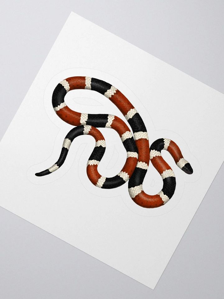 Die-Cut Sticker – Sonoran Coralsnake product image (2)