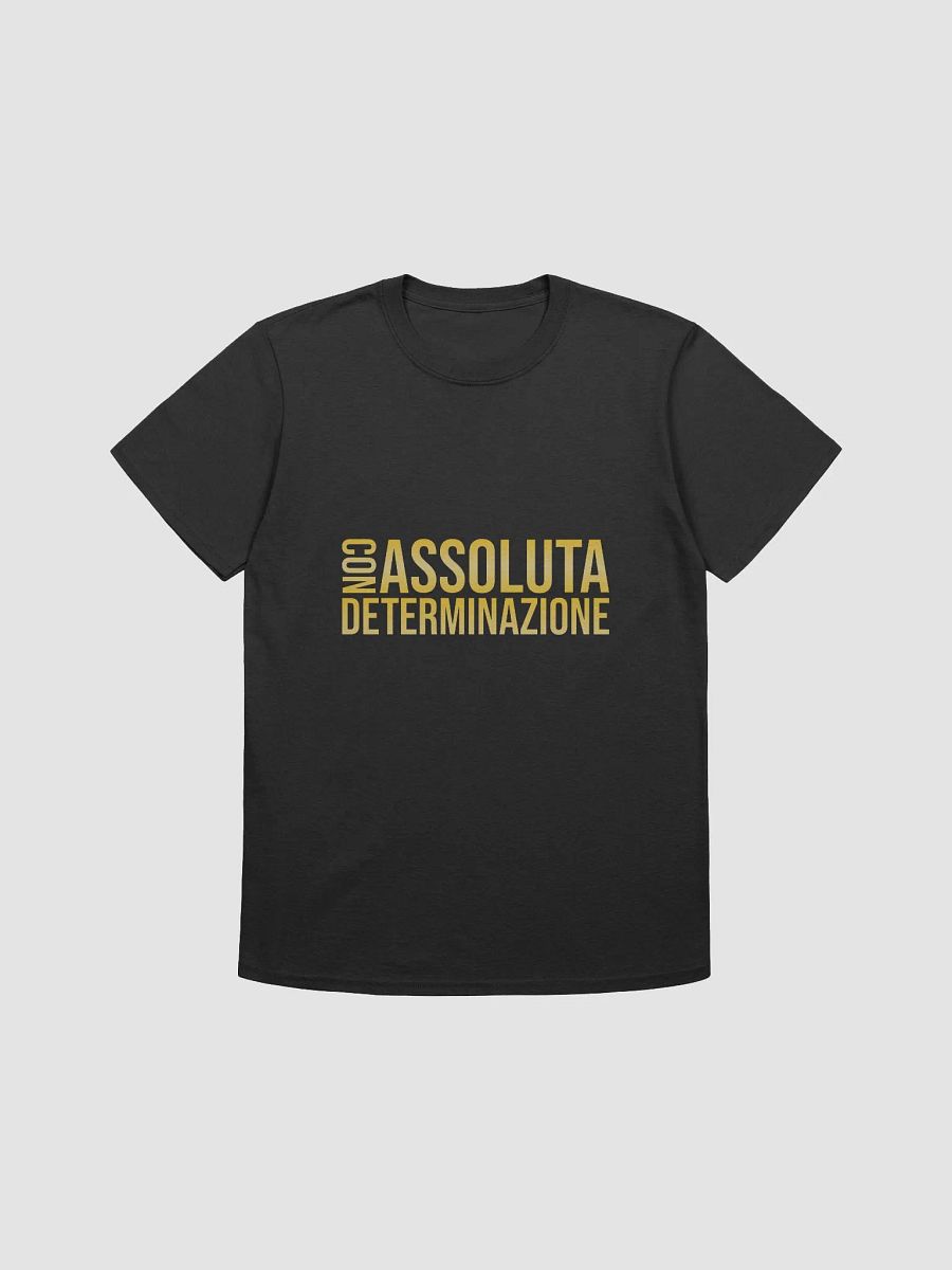 Con assoluta determinazione product image (1)