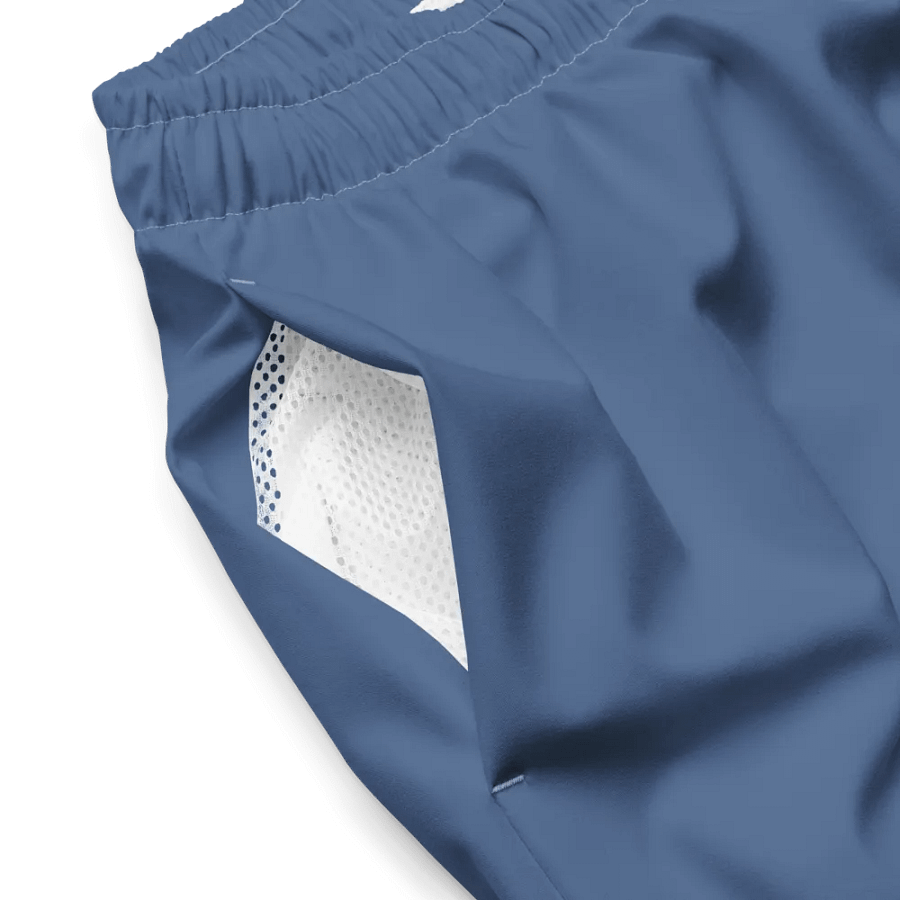 Avalon Men's Logo Print Swim Trunks product image (4)