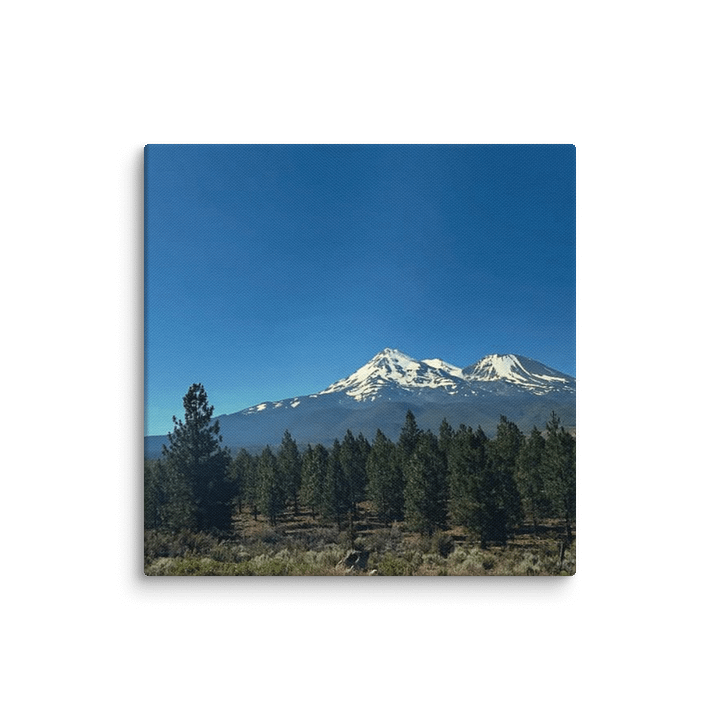 Shasta product image (36)