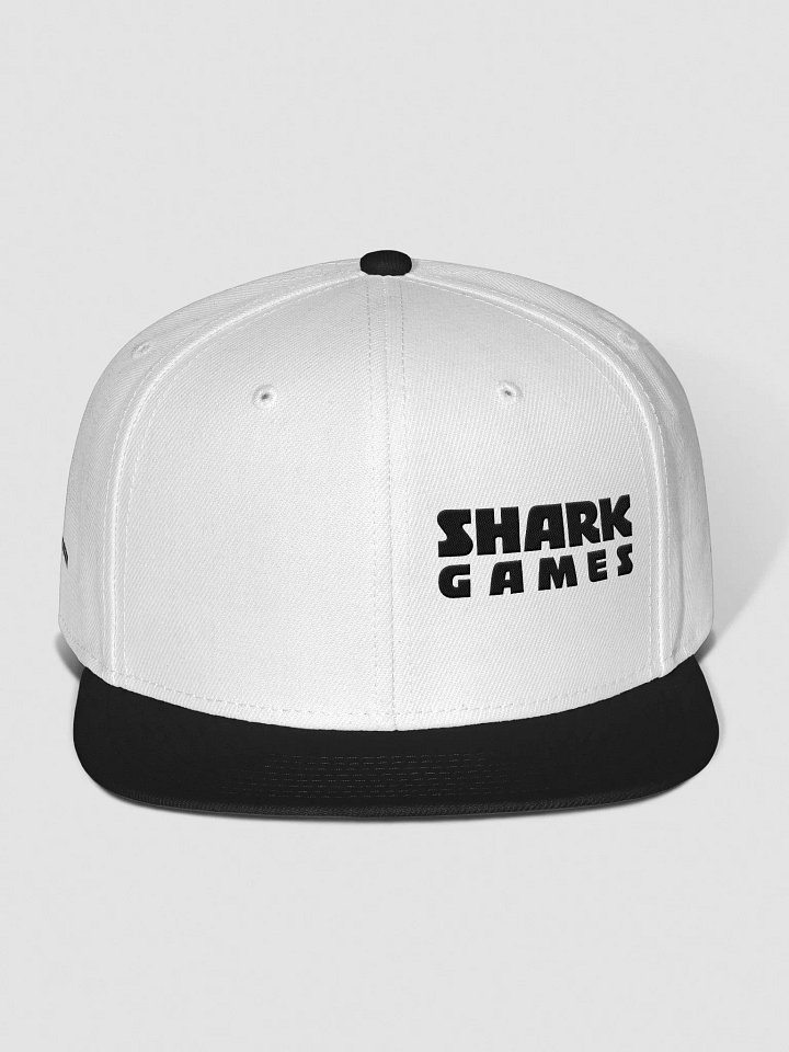 Flat Brim Hat - Dark Logo product image (33)