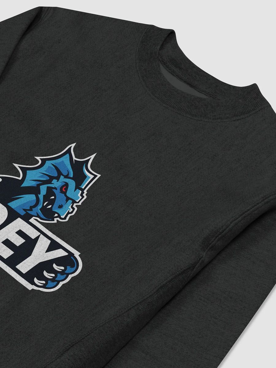 NZMOEY logo Champion Cotton Max Sweatshirt product image (3)
