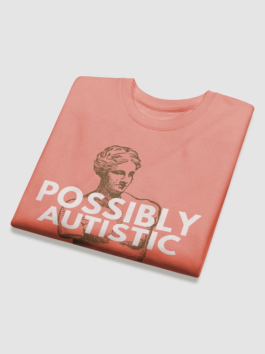 POSSIBLY AUTISTIC - SWEATER product image (4)