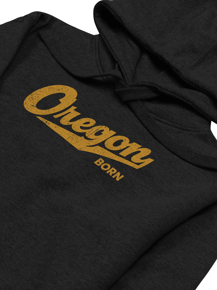 Oregon Born with Swash Hoodie product image (2)